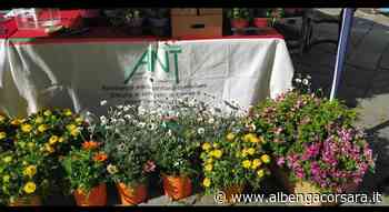 Ant Albenga: banchetto solidale per la Festa della mamma - AlbengaCorsara News