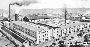 Trieste capitale mondiale della pasta? La storia del Pastificio... - Trieste News