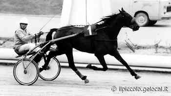 Trieste, mondo dell'ippica in lutto per la morte di Nicky Esposito - Il Piccolo