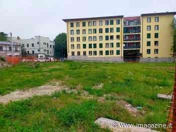 Trieste, in via Flavia un giardino partecipato - imagazine