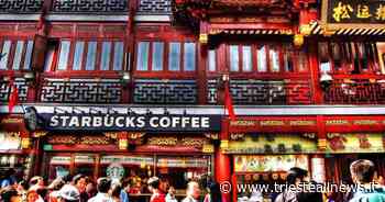 Ma in Cina si beve caffè? Una nuova frontiera per Trieste (e l'Italia) - Trieste News