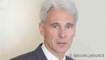 Trieste, il caso della pineta di Cattinara approda in Consiglio comunale - Il Piccolo