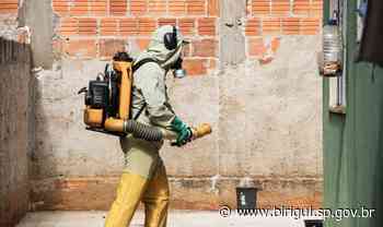 Prefeitura de Birigui retoma nebulização contra o Aedes aegypti pelo bairro Vereador Natal Mazucato - Prefeitura de Birigui (.gov)