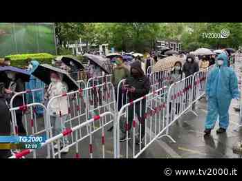 Covid. Aumento dei contagi in Cina: lockdown e tamponi di massa | TG2000 - TV2000