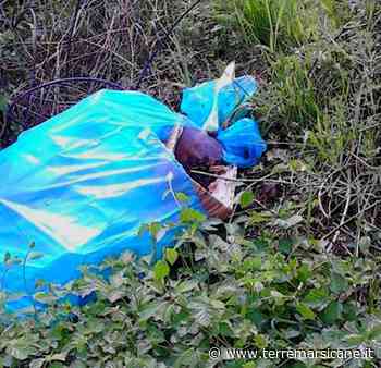 Giornata ecologica a Forme di Massa d'Albe, appuntamento fissato a sabato 7 maggio - Terre Marsicane