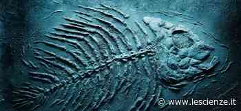 Gli oceani sono minacciati da un'estinzione di massa - Le Scienze