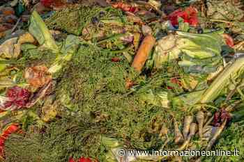 Castellanza invita i commercianti: «Combattiamo insieme lo spreco alimentare» - InformazioneOnline.it