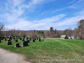 Sutton dog owners drawn to local cemetery, triggers public outcry - Sherbrooke Record