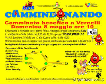 Domenica 8 maggio: "Cammindonando", camminata benefica dell'Avis - Prima Vercelli