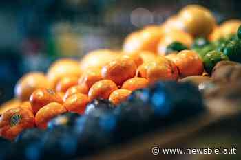 Coldiretti Vercelli-Biella – Macfrut: boom per export ortofrutta - newsbiella.it