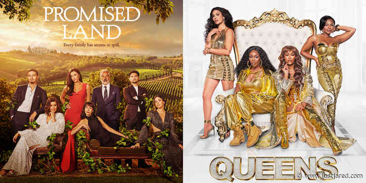 ABC Axes Two Primetime Dramas After Just One Season