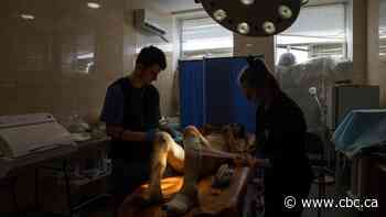 Retired Canadian Forces reservist delivers life-saving medical supplies to Ukrainian soldiers