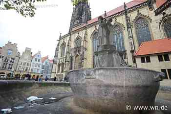 Sollen die Brunnen in Münster saniert werden?