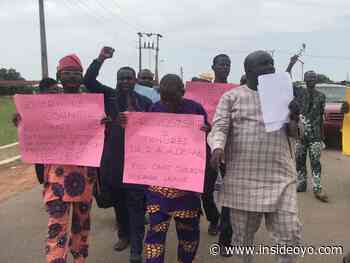 EACOED COEASU Rejects Proposed Tenure Elongation For Provost, Urges Makinde To Intervene - www.insideoyo.com