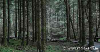 Live stream of dawn chorus from Killarney National Park tomorrow morning - Radio Kerry