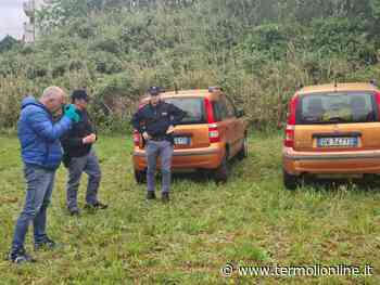 Rubano due Panda quasi gemelle per sottrarne il catalizzatore, Polizia recupera i veicoli - Termoli Online