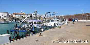 Pesca e acquacoltura, elargiti primi aiuti: liquidate 24 imprese su 90 - Termoli Online