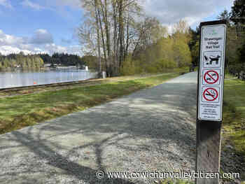 Phase 3 of Shawnigan Lake trail approved by CVRD committee – Cowichan Valley Citizen - Cowichan Valley Citizen
