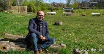 Gemeentebestuur plant hondenweide in Statiestraat | Boom | hln.be - Het Laatste Nieuws