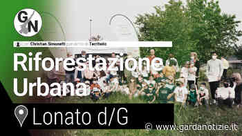 Riforestazione Urbana a Lonato del Garda • Gardanotizie - Garda Notizie