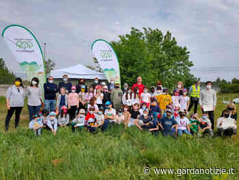 Nasce il nuovo bosco urbano di Lonato del Garda: Rete Clima avvia un nuovo intervento di forestazione urbana nell'ambito del progetto Foresta Bresciana • Gardanotizie - Garda Notizie