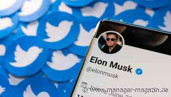 Twitter: Elon Musk will Umsatz verfünffachen
