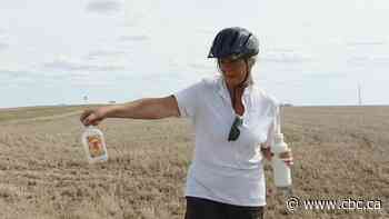 Ditches lined with empty booze bottles have Sask. cyclist concerned for safety
