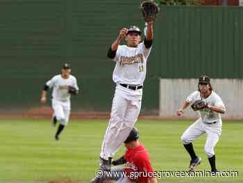 Edmonton Prospects readying up for regular season - Spruce Grove Examiner