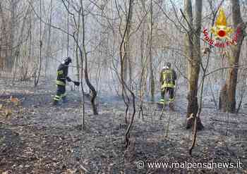 Un altro incendio nei boschi, vigili del fuoco al lavoro a Samarate - MalpensaNews.it