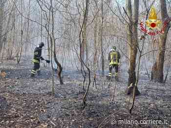 Incendio nel Varesotto: in fiamme i boschi di Samarate, l’area vicina all’aeroporto di Malpensa - Corriere Milano