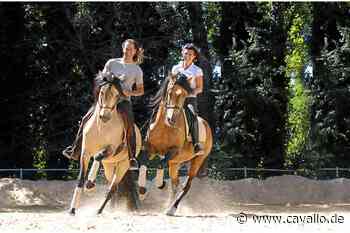 Seminar mit Frédéric Pignon und Magali Delgado in Celle | cavallo.de - Cavallo