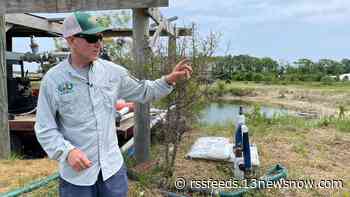 Fertilizer prices skyrocket, hurting Virginia Beach farmer
