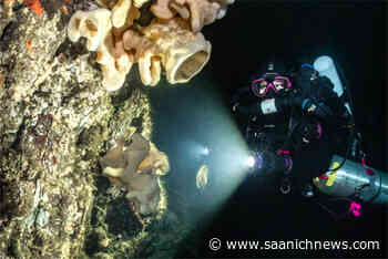 Vancouver Island divers enter uncharted waters as part of new society – Saanich News - Saanich News