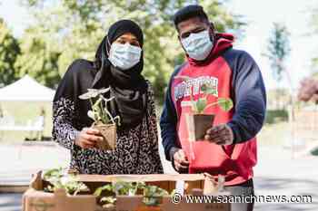 Victoria's seedling sharing program earns provincial excellence award – Saanich News - Saanich News