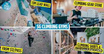 8 Climbing Gyms In Singapore With Convenient Outlets At Shopping Malls, For After-Work Exercise - TheSmartLocal