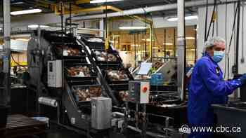 Federal COVID-19 supports expire today as Ottawa says 'extraordinary' measures no longer needed