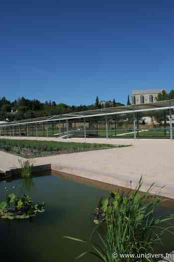 Découverte du Jardin Romain Jardin romain de Caumont vendredi 3 juin 2022 - Unidivers