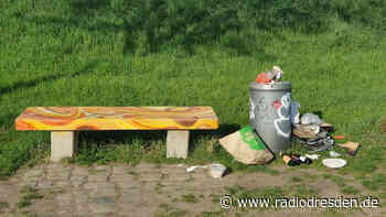 Zusätzliche Abfallbehälter für mehr Sauberkeit am Elbufer - Radio Dresden