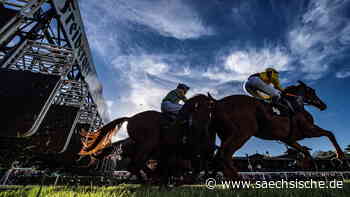 Pferde, Wetten, Sport - die Faszination Galopprennbahn in Dresden - Sächsische.de