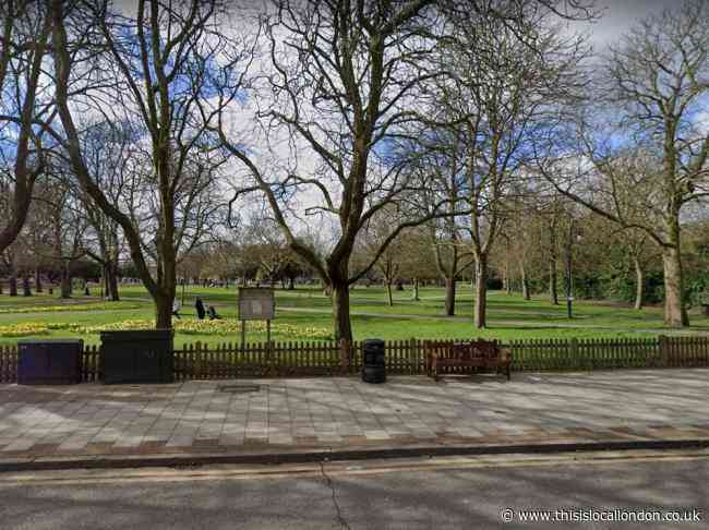 Questions over shipping container kiosk on Wanstead green