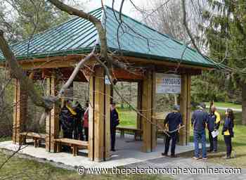 Peterborough Rotary Greenway Trail users have it made in the shade now - The Peterborough Examiner