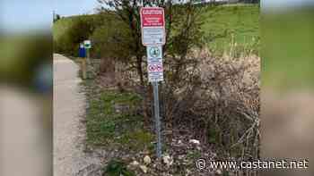 Certain types of e-bikes banned from Rail Trail along Kal Lake - Vernon News - Castanet.net