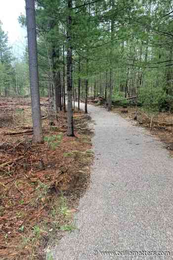 'A first': Accessible trail proposed for Simcoe County Forest - OrilliaMatters