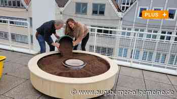 Auf der Dachterrasse des Stadthauses Ulm entsteht eine Blumenuhr