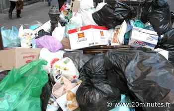 Maisons-Alfort : 41 % de déchets en moins pour les participants au défi « Familles Zéro Déchet » - 20 Minutes