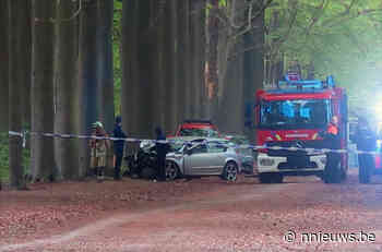 Dodelijk ongeval in Beeltjensdreef Westerlo : man (45) uit Olen overleeft klap niet - Nnieuws.be