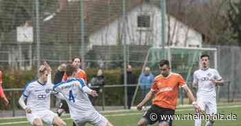 Hohenecken will weiter siegen im Kollektiv - Fussball - Rheinpfalz.de