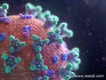 J-K records 11 new coronavirus cases - The Siasat Daily