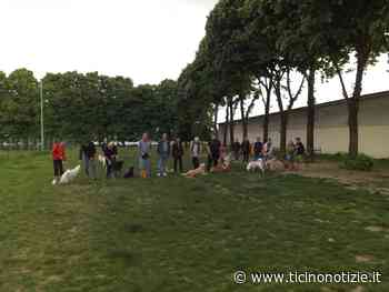 Trecate: successo per il primo evento dog friendly nell'area sgambamento cani - Ticino Notizie