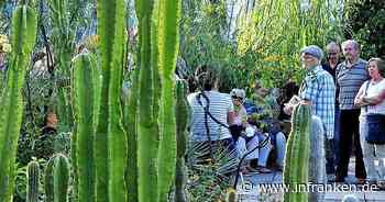 Führung in Erlangen zeigt Symbiosen in der Pflanzenwelt - inFranken.de